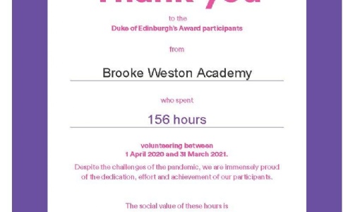 Latest News » Brooke Weston DofE Volunteers